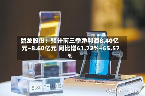 鼎龙股份：预计前三季净利润8.40亿元~8.60亿元 同比增61.72%~65.57%-第1张图片