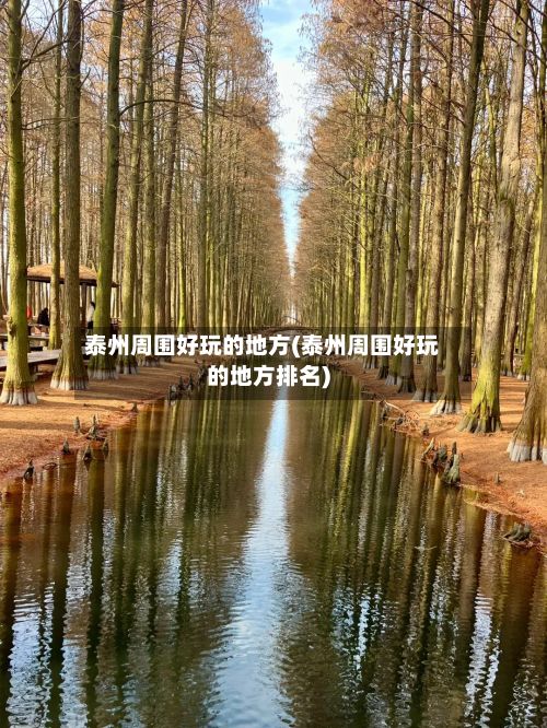 泰州周围好玩的地方(泰州周围好玩的地方排名)