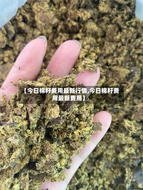 【今日棉籽费用最新行情,今日棉籽费用最新费用】