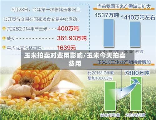 玉米拍卖对费用影响/玉米今天拍卖费用-第3张图片