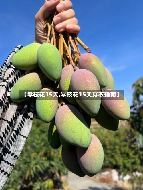【攀枝花15天,攀枝花15天穿衣指南】