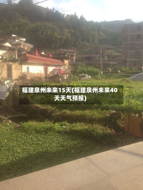 福建泉州未来15天(福建泉州未来40天天气预报)-第3张图片