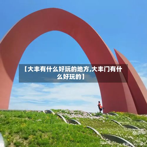 【大丰有什么好玩的地方,大丰门有什么好玩的】-第2张图片