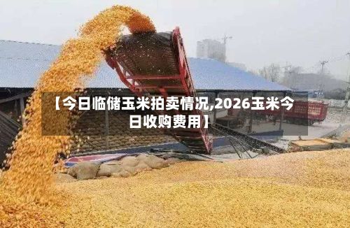 【今日临储玉米拍卖情况,2026玉米今日收购费用】