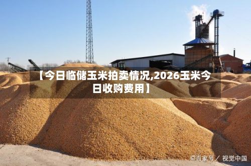 【今日临储玉米拍卖情况,2026玉米今日收购费用】-第3张图片