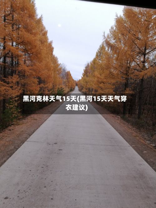 黑河克林天气15天(黑河15天天气穿衣建议)-第2张图片