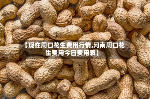 【现在周口花生费用行情,河南周口花生费用今日费用表】-第2张图片