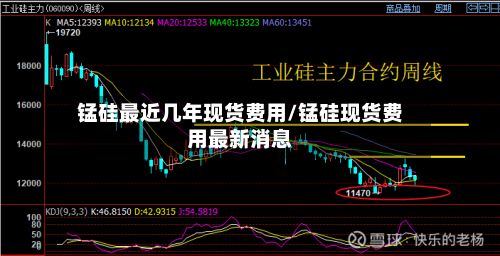 锰硅最近几年现货费用/锰硅现货费用最新消息-第2张图片