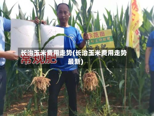 长治玉米费用走势(长治玉米费用走势最新)-第3张图片