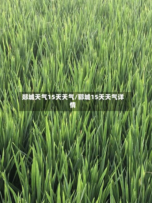 郯城天气15天天气/郓城15天天气详情