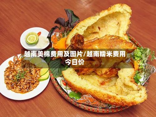 越南美棉费用及图片/越南糯米费用今日价
