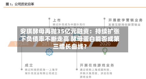 安琪酵母再抛35亿元融资：持续扩张下负债率不断走高 酵母蛋白能否成第三增长曲线？