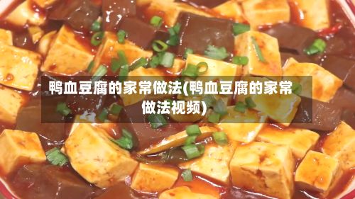 鸭血豆腐的家常做法(鸭血豆腐的家常做法视频)