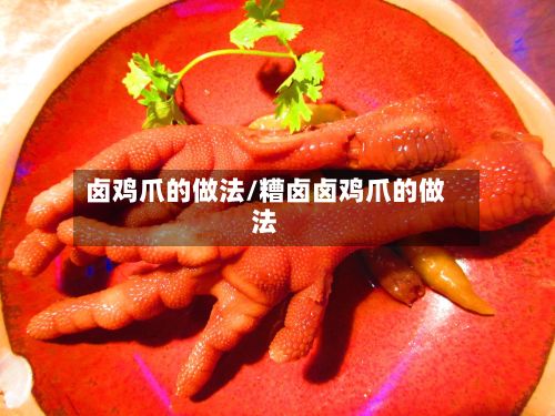 卤鸡爪的做法/糟卤卤鸡爪的做法