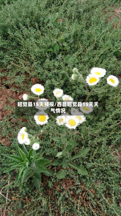 昭觉县15天预报/西昌昭觉县15天天气情况-第2张图片