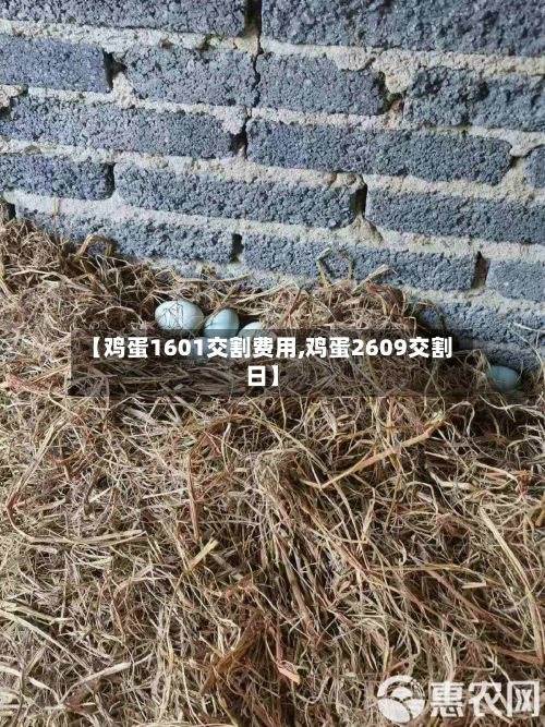 【鸡蛋1601交割费用,鸡蛋2609交割日】-第2张图片