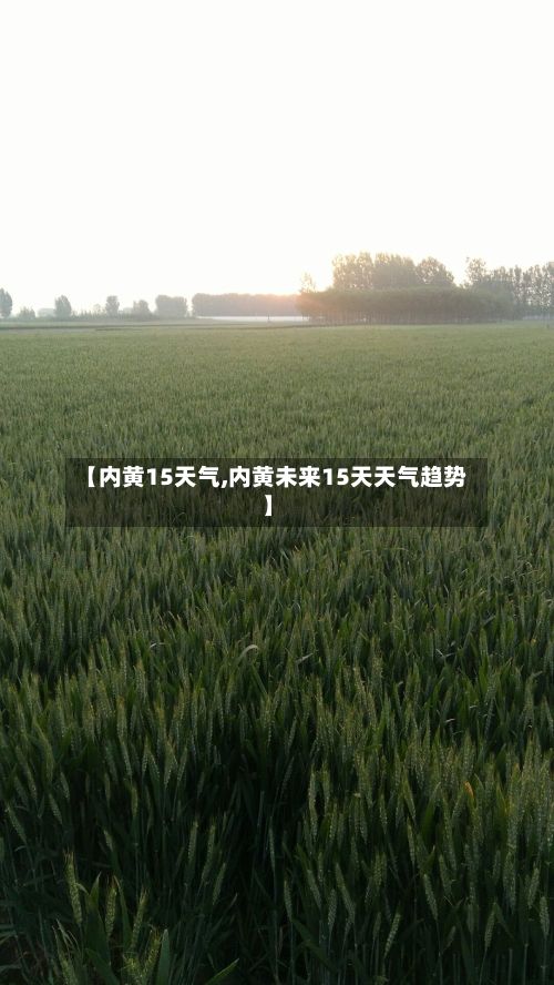 【内黄15天气,内黄未来15天天气趋势】-第2张图片