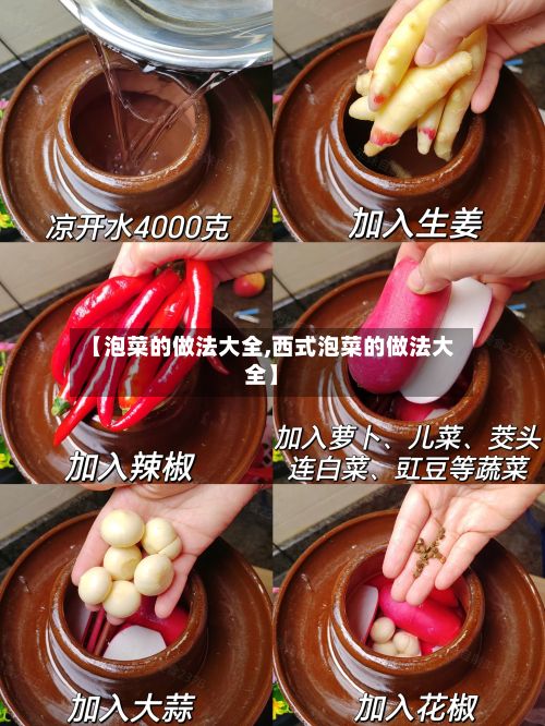 【泡菜的做法大全,西式泡菜的做法大全】-第3张图片