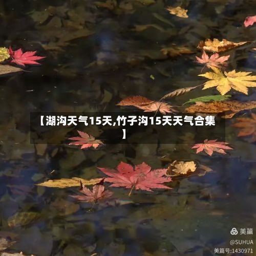 【湖沟天气15天,竹子沟15天天气合集】