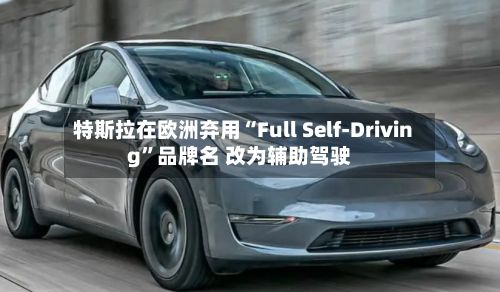 特斯拉在欧洲弃用“Full Self-Driving”品牌名 改为辅助驾驶-第1张图片