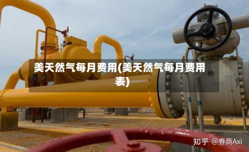 美天然气每月费用(美天然气每月费用表)