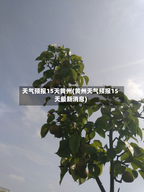 天气预报15天黄州(黄州天气预报15天最新消息)