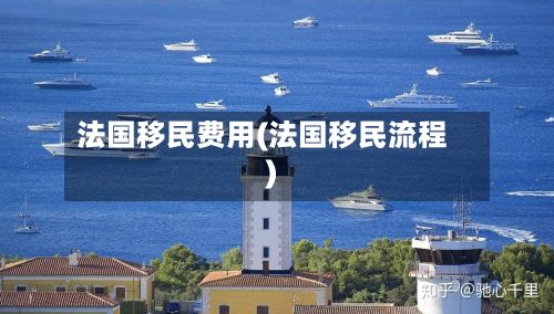法国移民费用(法国移民流程)