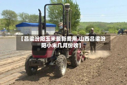 【吕梁汾阳玉米最新费用,山西吕梁汾阳小米几月份收】