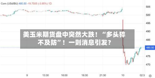 美玉米期货盘中突然大跌!“多头猝不及防”!一则消息引发?