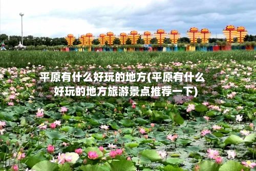 平原有什么好玩的地方(平原有什么好玩的地方旅游景点推荐一下)