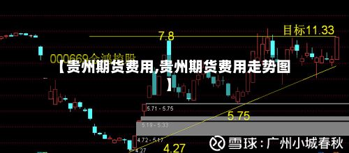 【贵州期货费用,贵州期货费用走势图】