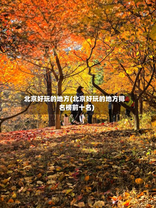 北京好玩的地方(北京好玩的地方排名榜前十名)