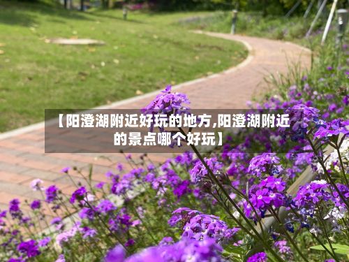 【阳澄湖附近好玩的地方,阳澄湖附近的景点哪个好玩】-第2张图片