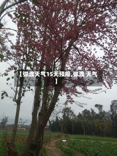 【弥渡天气15天预报,弥渡 天气】