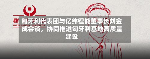 匈牙利代表团与亿纬锂能董事长刘金成会谈，协同推进匈牙利基地高质量建设