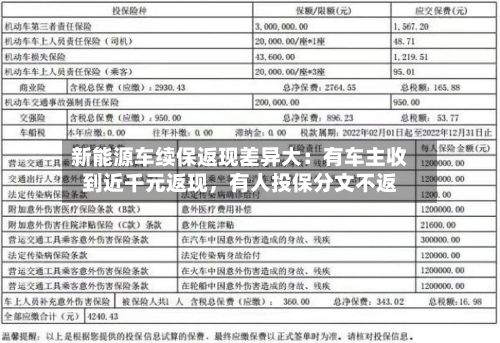 新能源车续保返现差异大：有车主收到近千元返现	，有人投保分文不返-第2张图片