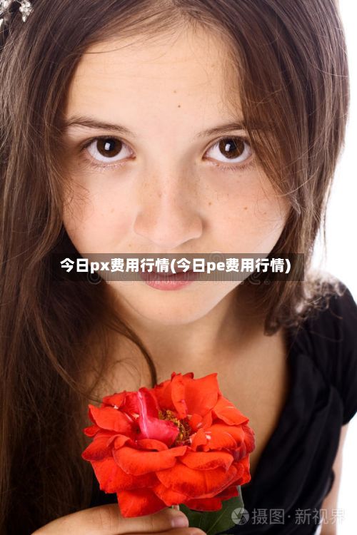 今日px费用行情(今日pe费用行情)