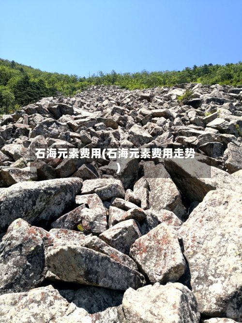 石海元素费用(石海元素费用走势)