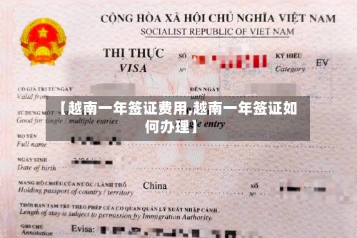【越南一年签证费用,越南一年签证如何办理】-第2张图片