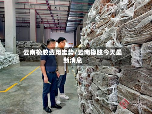 云南橡胶费用走势/云南橡胶今天最新消息