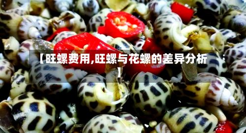【旺螺费用,旺螺与花螺的差异分析】-第2张图片