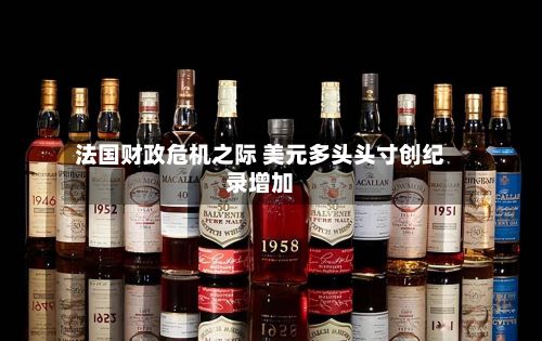 法国财政危机之际 美元多头头寸创纪录增加-第2张图片