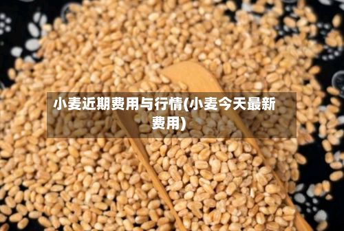 小麦近期费用与行情(小麦今天最新费用)