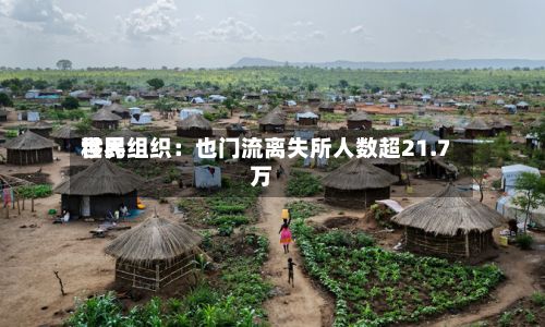 世界
移民组织:也门流离失所人数超21.7万-第3张图片