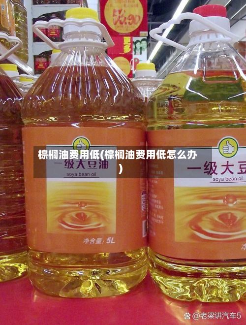 棕榈油费用低(棕榈油费用低怎么办)