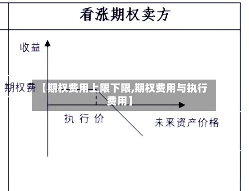 【期权费用上限下限,期权费用与执行费用】