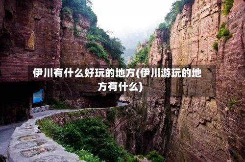 伊川有什么好玩的地方(伊川游玩的地方有什么)