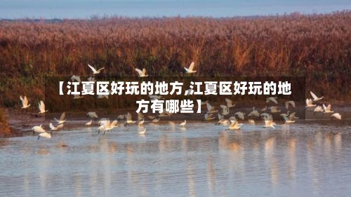 【江夏区好玩的地方,江夏区好玩的地方有哪些】