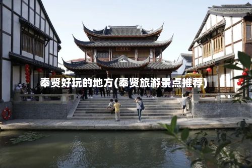 奉贤好玩的地方(奉贤旅游景点推荐)