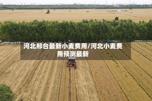 河北邢台最新小麦费用/河北小麦费用预测最新